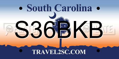 S36BKB South Carolina License Plate