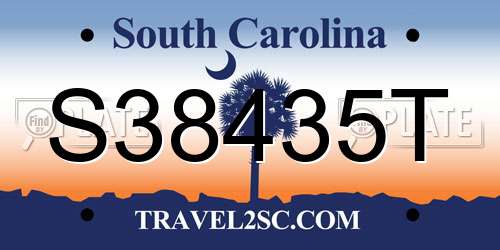S38435T South Carolina License Plate