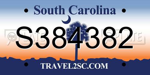 S384382 South Carolina License Plate