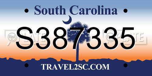 S387335 South Carolina License Plate