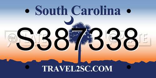 S387338 South Carolina License Plate