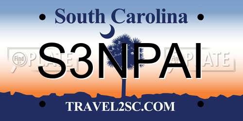 S3NPAI South Carolina License Plate