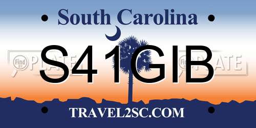 S41GIB South Carolina License Plate