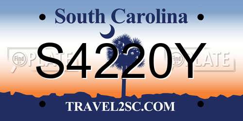 S4220Y South Carolina License Plate