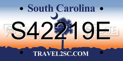 S42219E South Carolina License Plate