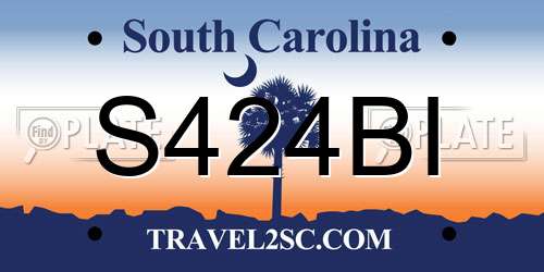 S424BI South Carolina License Plate