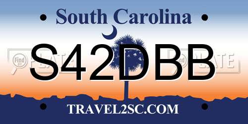 S42DBB South Carolina License Plate