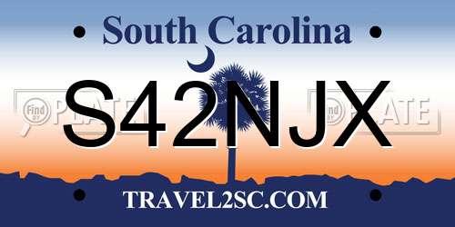 S42NJX South Carolina License Plate