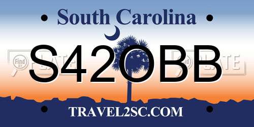 S42OBB South Carolina License Plate