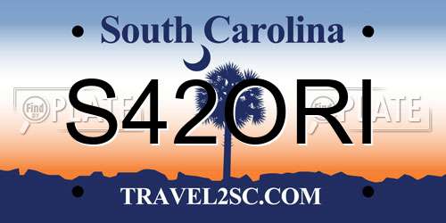 S42ORI South Carolina License Plate