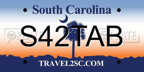 S42TAB South Carolina License Plate