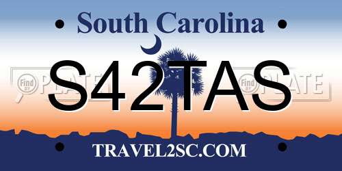 S42TAS South Carolina License Plate