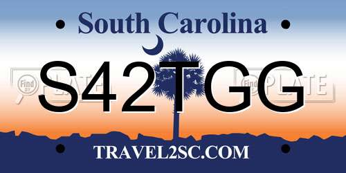 S42TGG South Carolina License Plate