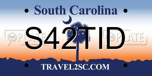 S42TID South Carolina License Plate