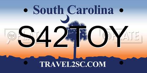 S42TOY South Carolina License Plate