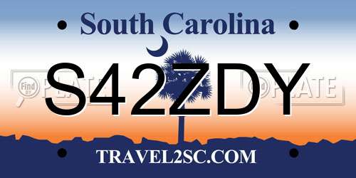 S42ZDY South Carolina License Plate