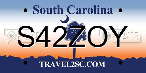 S42ZOY South Carolina License Plate