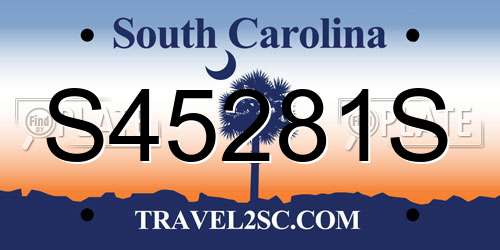 S45281S South Carolina License Plate