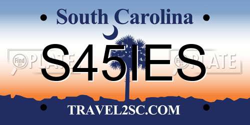 S45IES South Carolina License Plate
