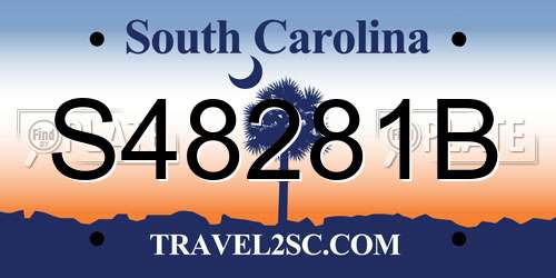 S48281B South Carolina License Plate