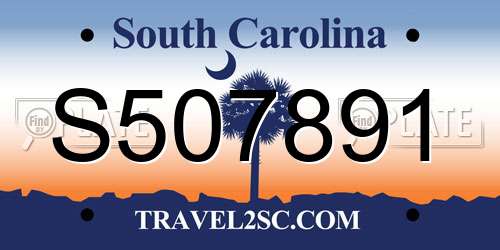 S507891 South Carolina License Plate