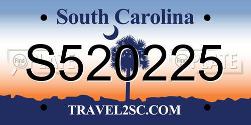 S520225 South Carolina License Plate