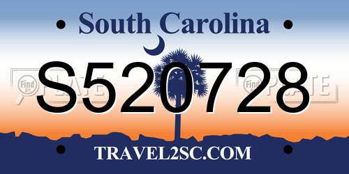 S520728 South Carolina License Plate
