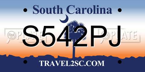 S542PJ South Carolina License Plate