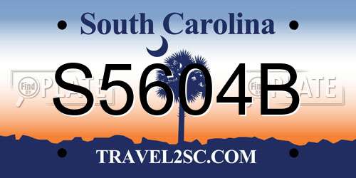 S5604B South Carolina License Plate