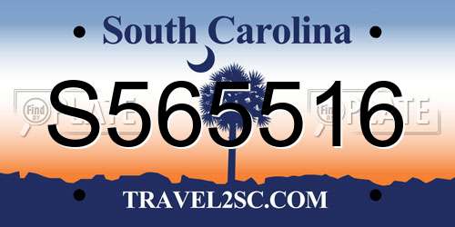S565516 South Carolina License Plate