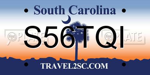 S56TQI South Carolina License Plate