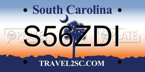 S56ZDI South Carolina License Plate