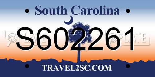 S602261 South Carolina License Plate