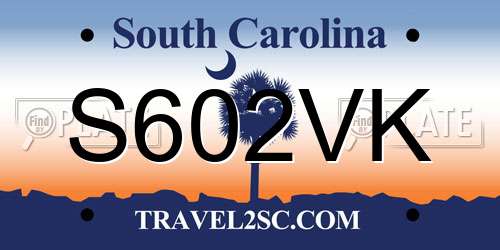 S602VK South Carolina License Plate