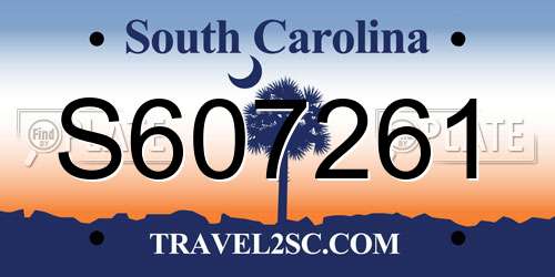 S607261 South Carolina License Plate