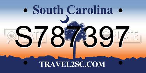S787397 South Carolina License Plate