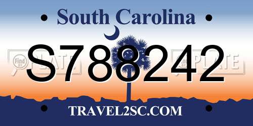 S788242 South Carolina License Plate