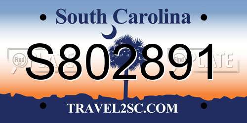 S802891 South Carolina License Plate