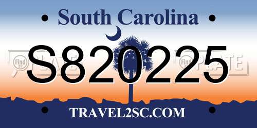 S820225 South Carolina License Plate
