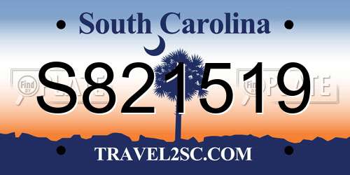 S821519 South Carolina License Plate