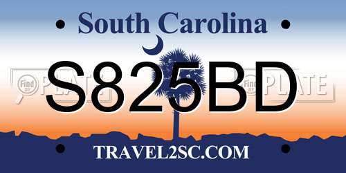 S825BD South Carolina License Plate