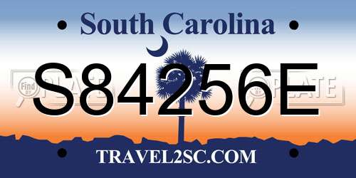 S84256E South Carolina License Plate
