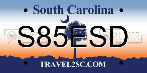 S85ESD South Carolina License Plate