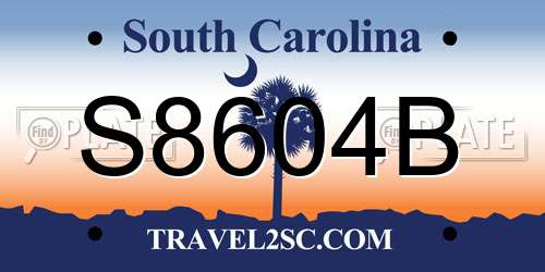 S8604B South Carolina License Plate