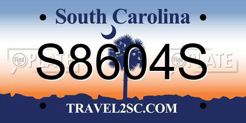 S8604S South Carolina License Plate