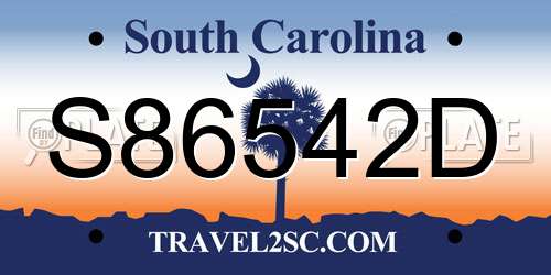 S86542D South Carolina License Plate