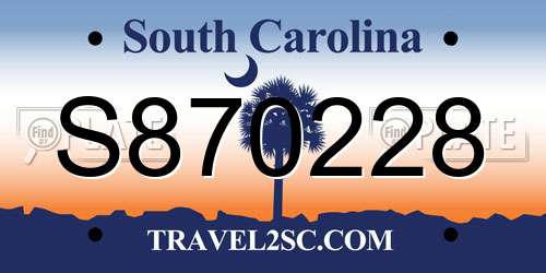 S870228 South Carolina License Plate