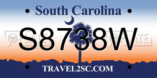S8738W South Carolina License Plate