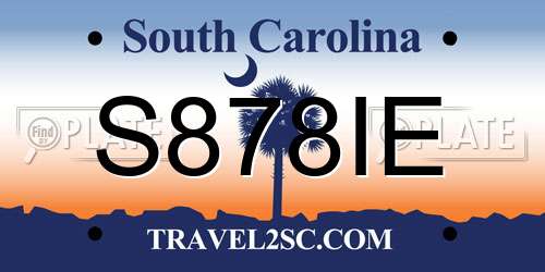 S878IE South Carolina License Plate