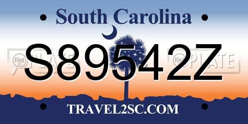 S89542Z South Carolina License Plate